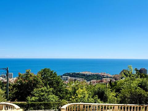 Villa Horizon : Sea View & Monaco at your doorstep