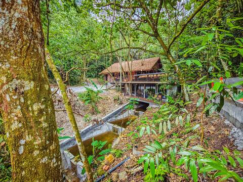 Templer Park Rainforest Retreat - Cottage