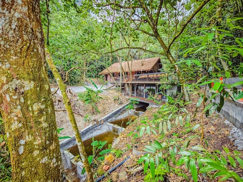 Templer Park Rainforest Retreat - Cottage