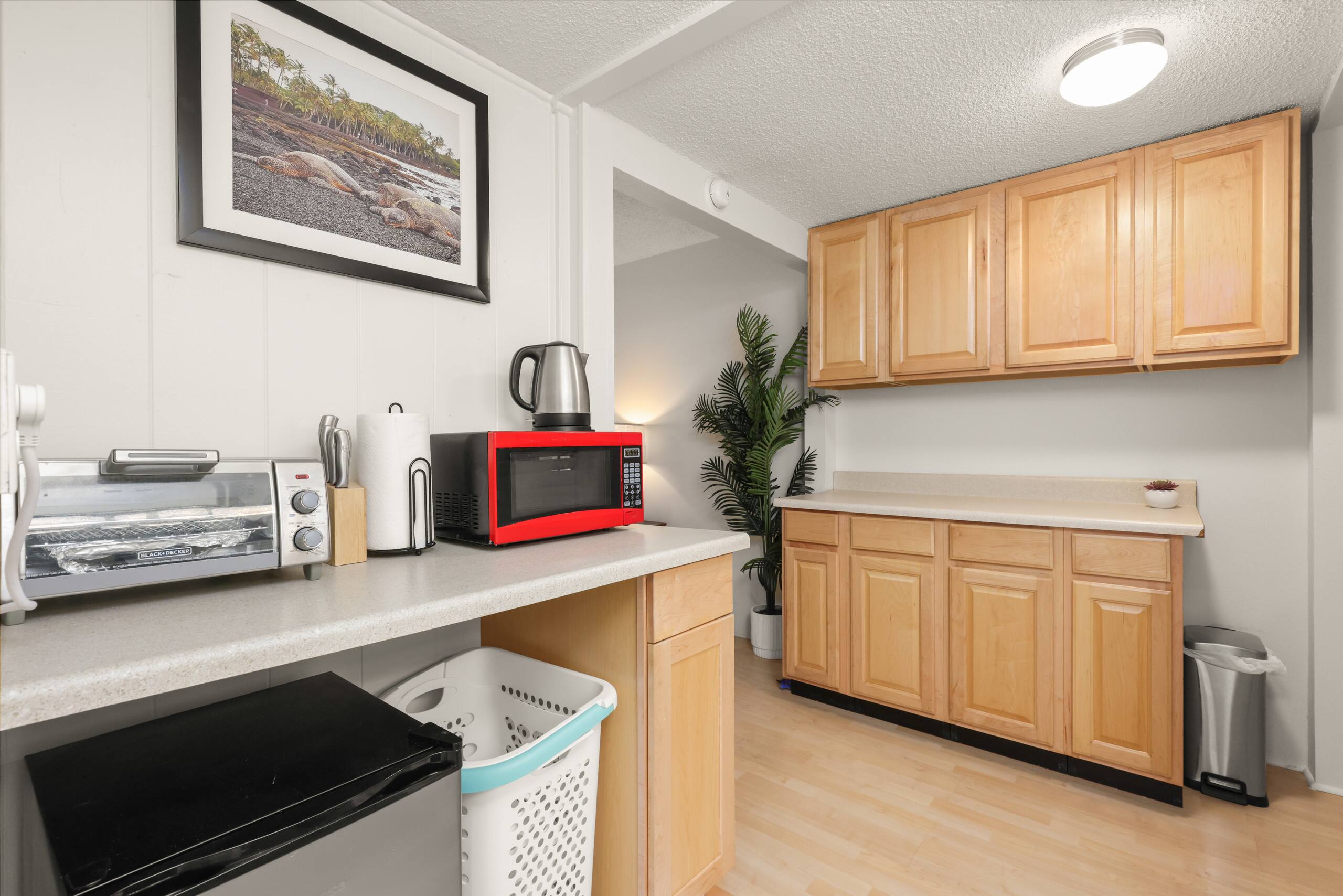 Prime Location! Double Studios TWO King Bed Suites - Image 5