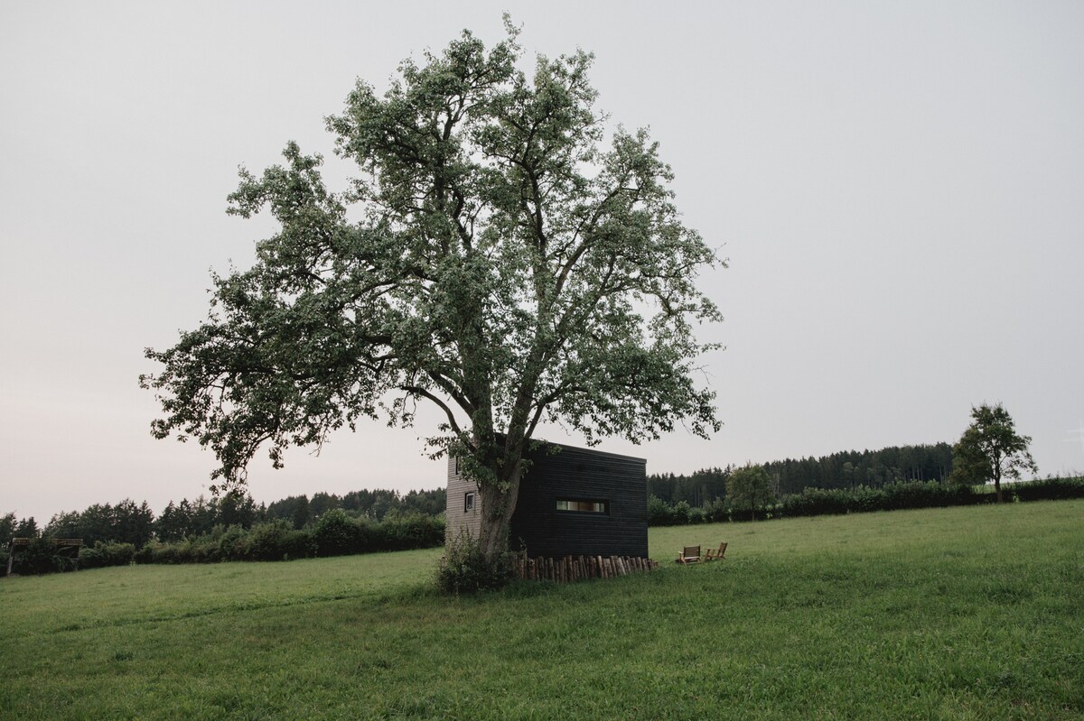 A tiny house is nestled beneath a large pear tree in an expansive green field. The structure features a black exterior, and a row of wooden logs borders the space. A glimpse of forest is visible in the background, creating a serene countryside setting.
