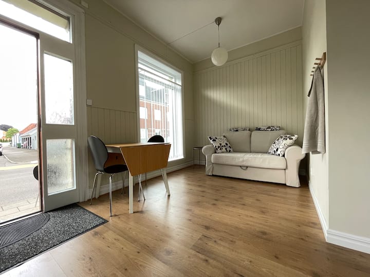 Centralt I Höganäs - Viken