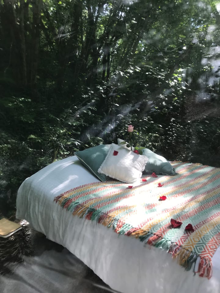 საძინებელი