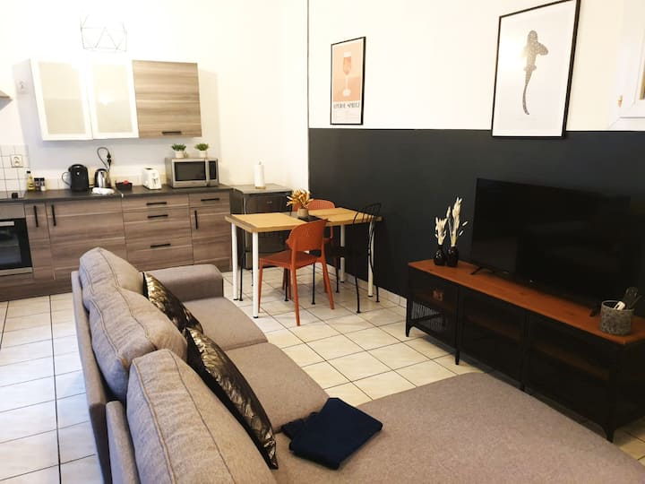 A Deux Pas Des Halles ~ Hypercentre ~ 4 Couchages - Pau