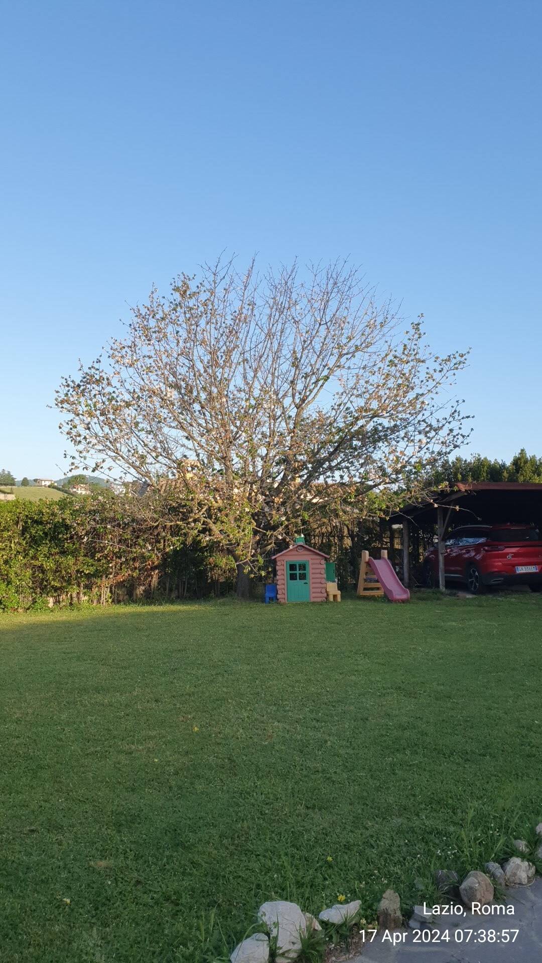 A spacious garden is presented, featuring a large tree with spreading branches. A small playhouse in colorful hues is positioned nearby, alongside a slide. The well-maintained grassy area offers a serene outdoor space, with a car sheltered under an attached structure, framed by natural greenery.