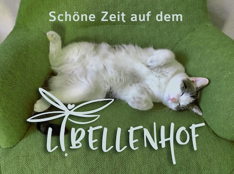 Have a nice time at the Libellenhof