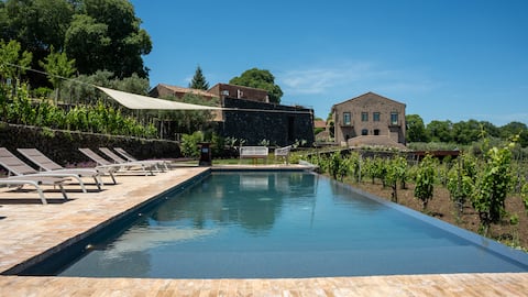 Traditional sicilian house immerse in vineyards.