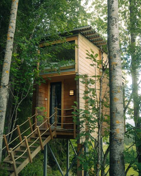 Unique treetop cabin- LAUV Tretopphytter