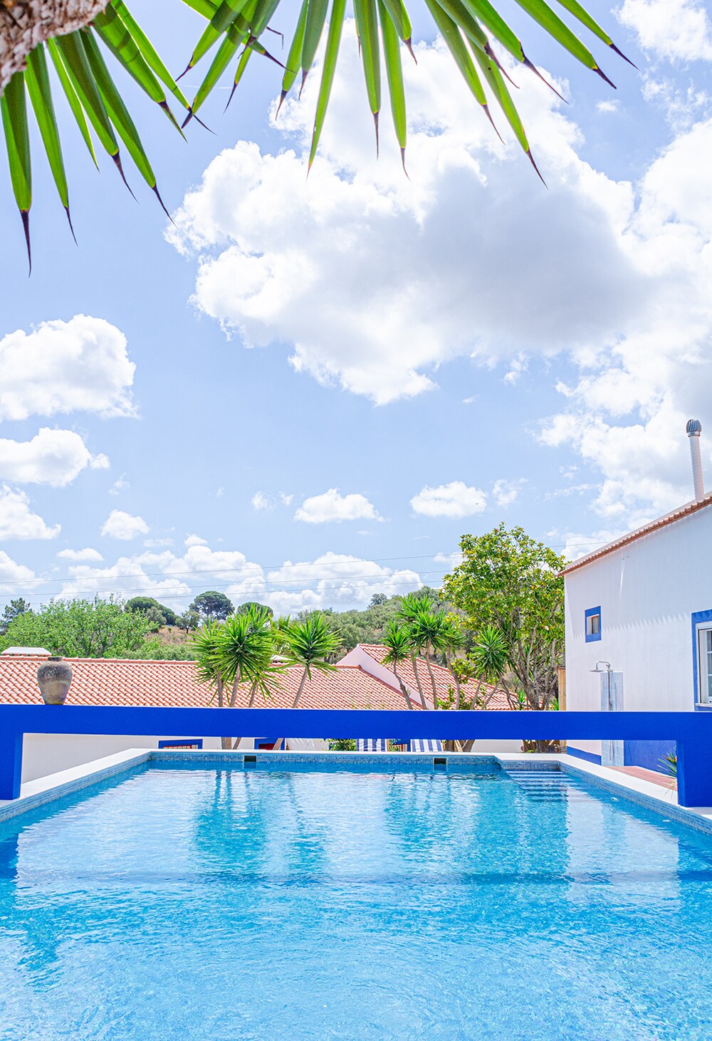 A tranquil swimming pool is seen under a bright sky, surrounded by lush greenery and a well-maintained garden. The pool reflects the clouds and has a gradual depth. A portion of the space features a blue wall, enhancing the serene outdoor environment.