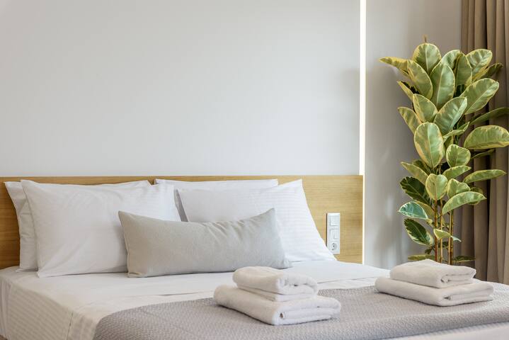 Central Sunny Loft with Plunge Pool. gallery image 5