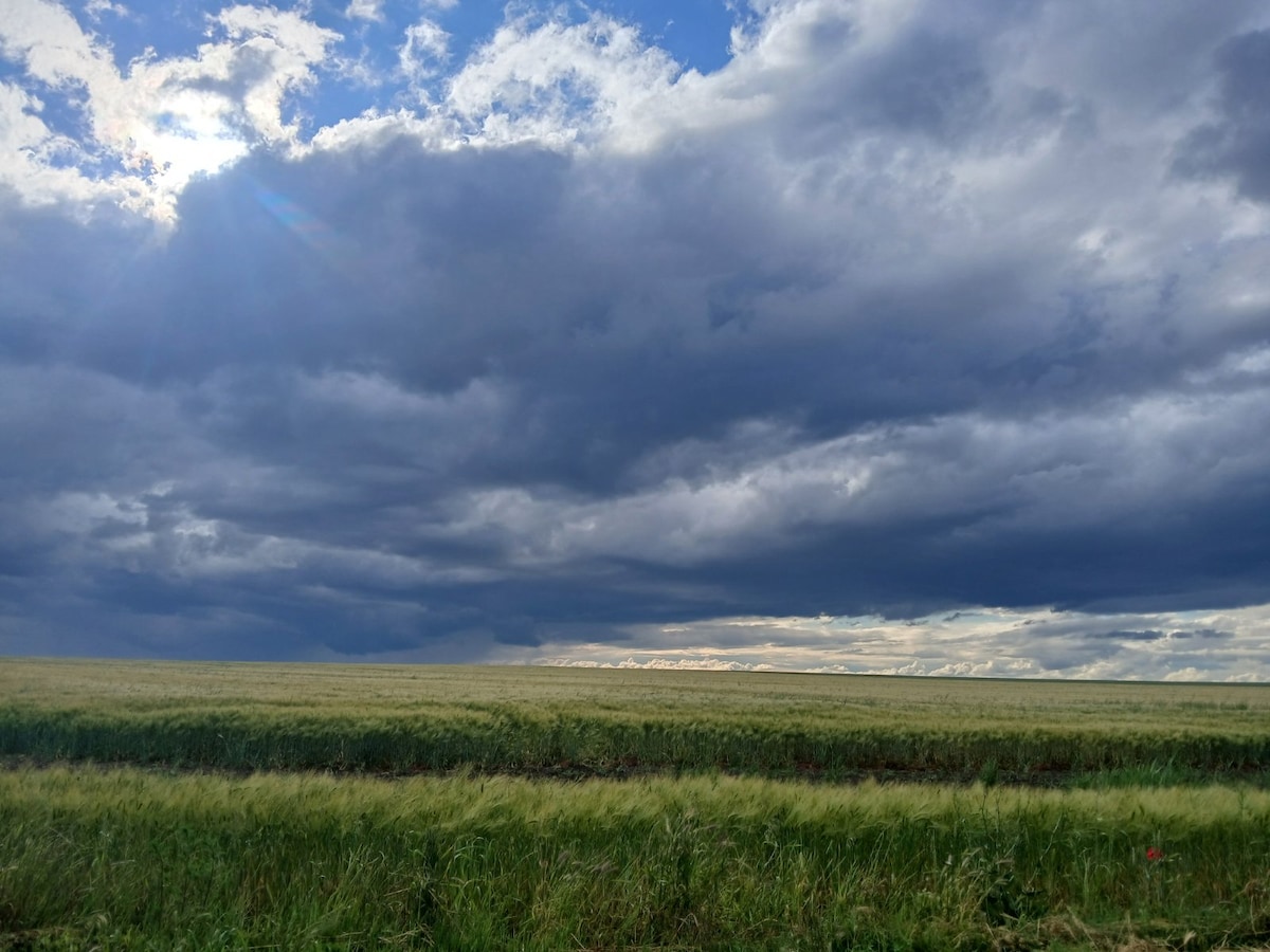 A vast open field under an expansive sky filled with dramatic clouds. The landscape is characterized by gentle waves of green grass, stretching towards the horizon. Sunlight filters through the clouds, creating a serene yet dynamic atmosphere in the scene.