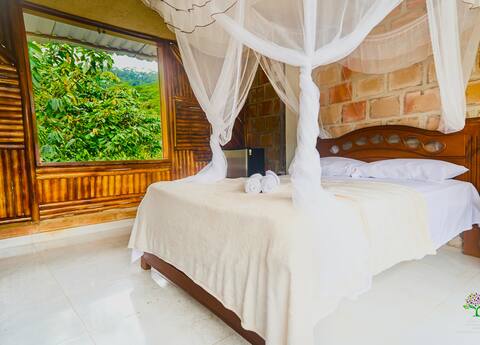 Colibrí Real Private Room with Balcony and View