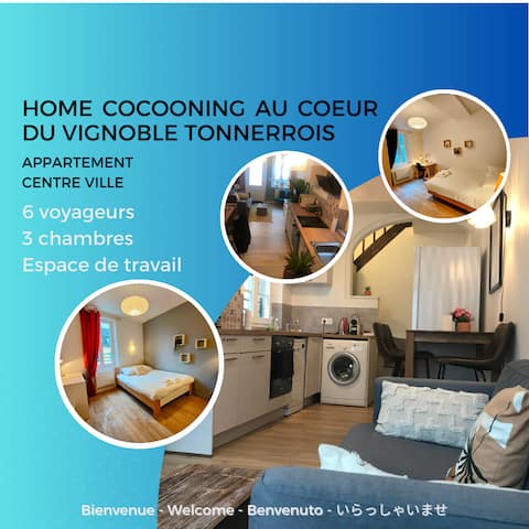 Cocooning Tonnerre apartment