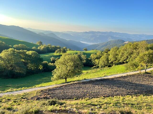 Mas Fogonella gallery image 2