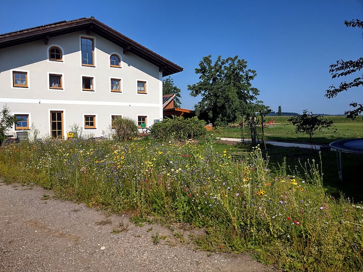 Eg-wohnung Mit Garten Im Grünen - Wasserburg am Inn