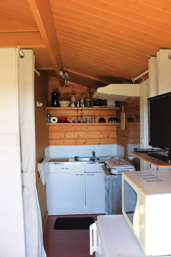 Chalet Au Cœur Des Bois - La Salvetat-sur-Agout