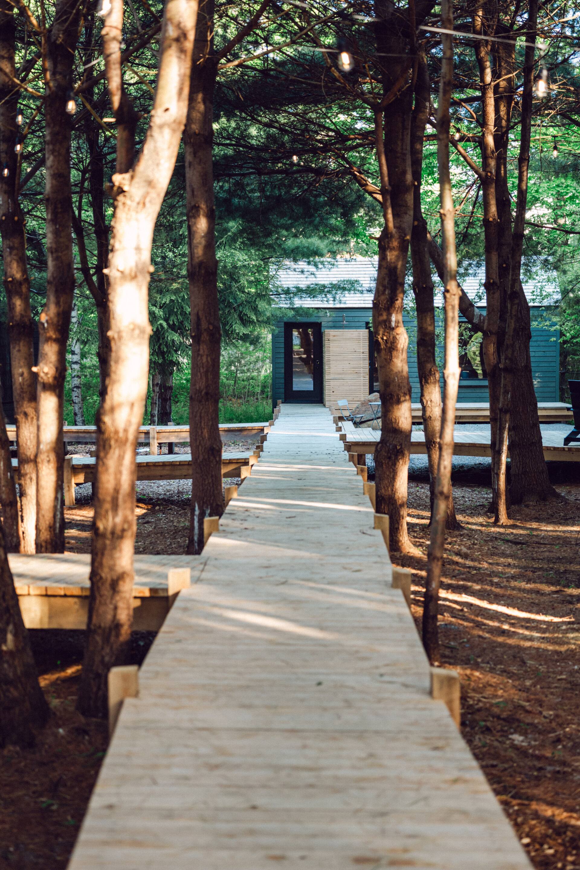 Black Forest Cabin 7