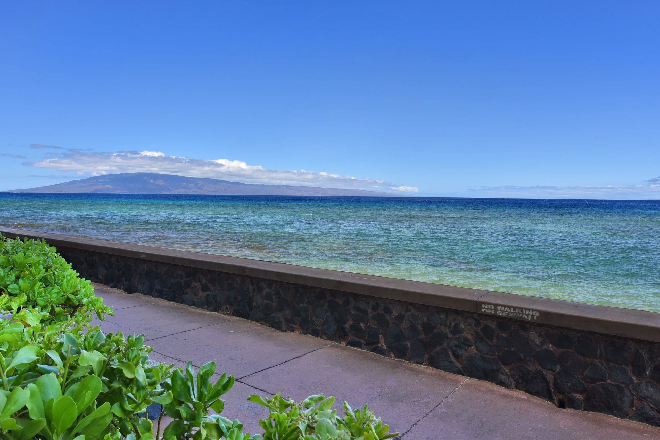 Condo in Lahaina · ★4.96 · Studio · 1 bath - Image 27