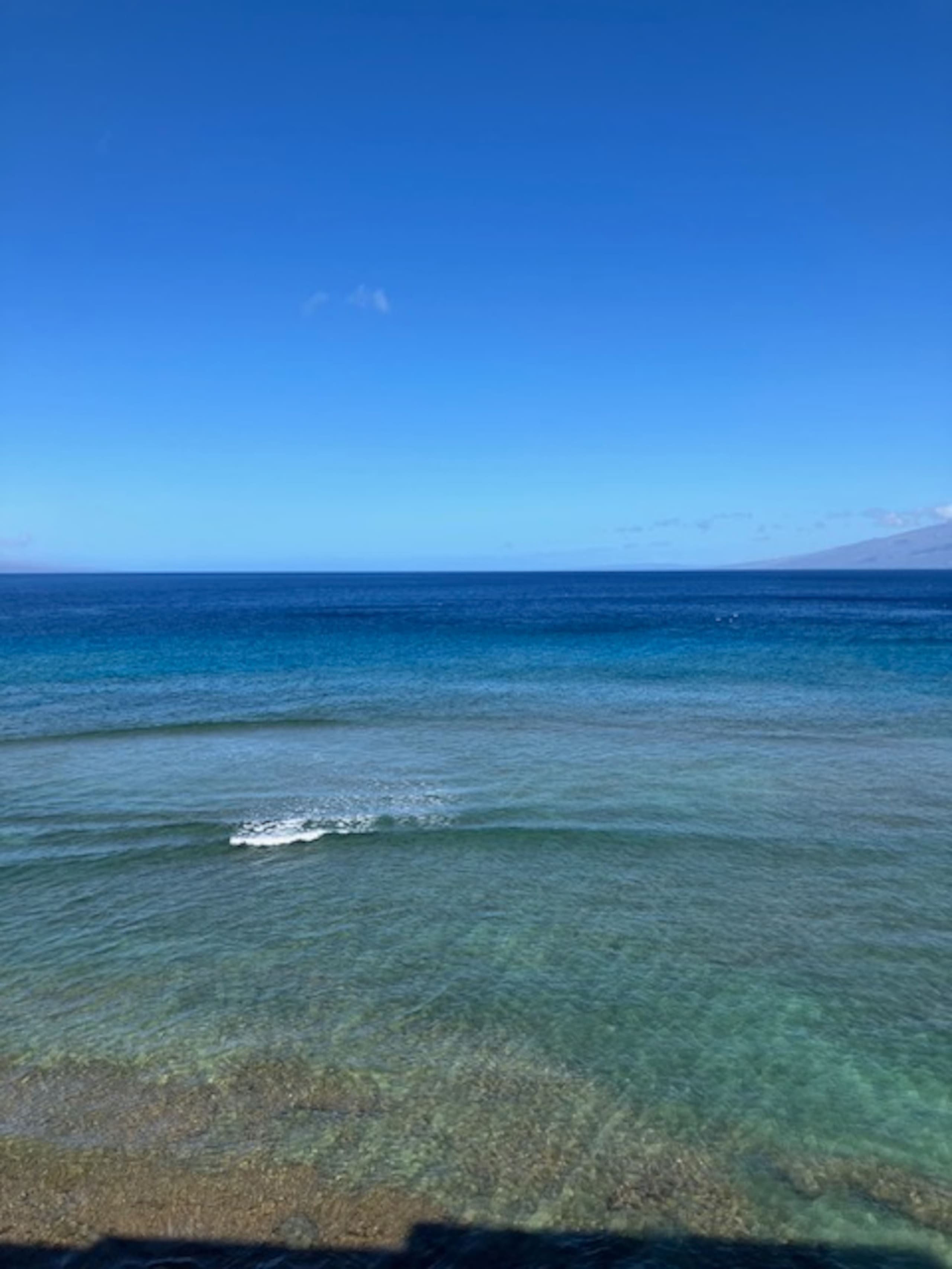 Condo in Lahaina · ★4.96 · Studio · 1 bath - Image 33