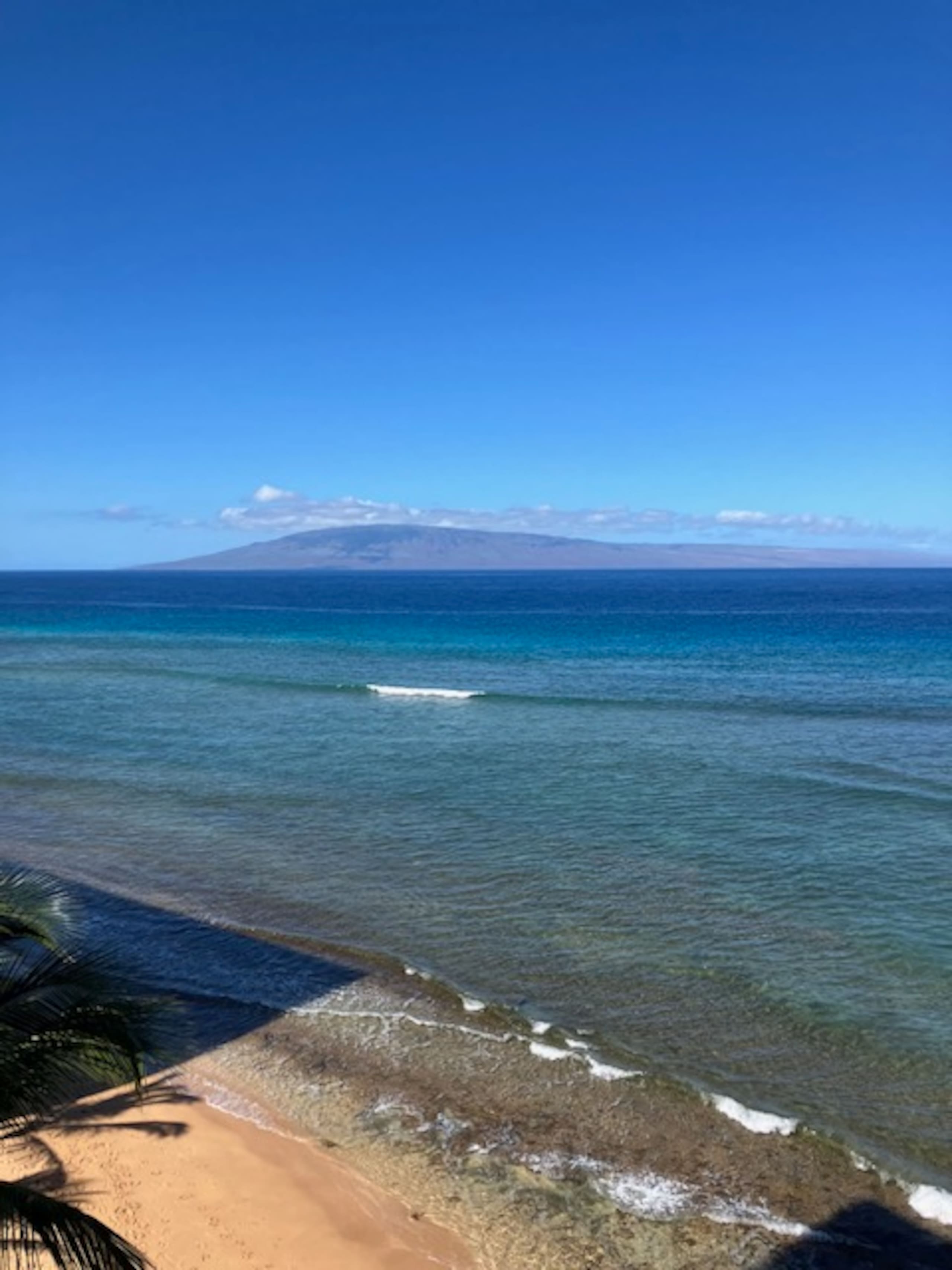 Condo in Lahaina · ★4.96 · Studio · 1 bath - Image 32