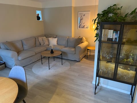Fantastic apartment on Herrengarten