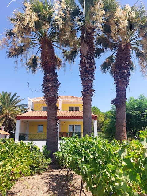 The Three Palms 
Samos Seaside Villa