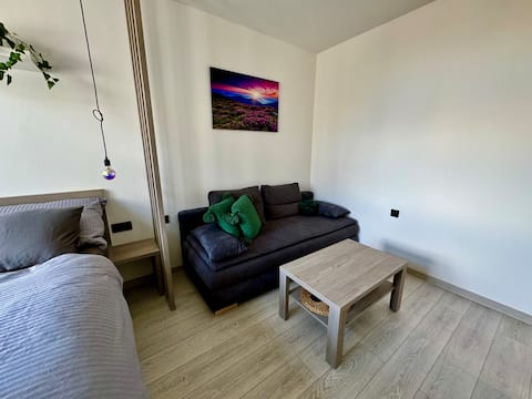 Top Airbnb: NT14 - Newly renovated apartment in Dejvice