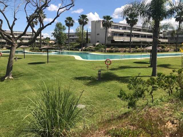 A shared swimming pool is framed by well-maintained grass and palm trees, providing a tranquil setting. The pool area is spacious, allowing for both leisure and swimming activities. The backdrop consists of a modern building, ensuring a pleasant view for guests.