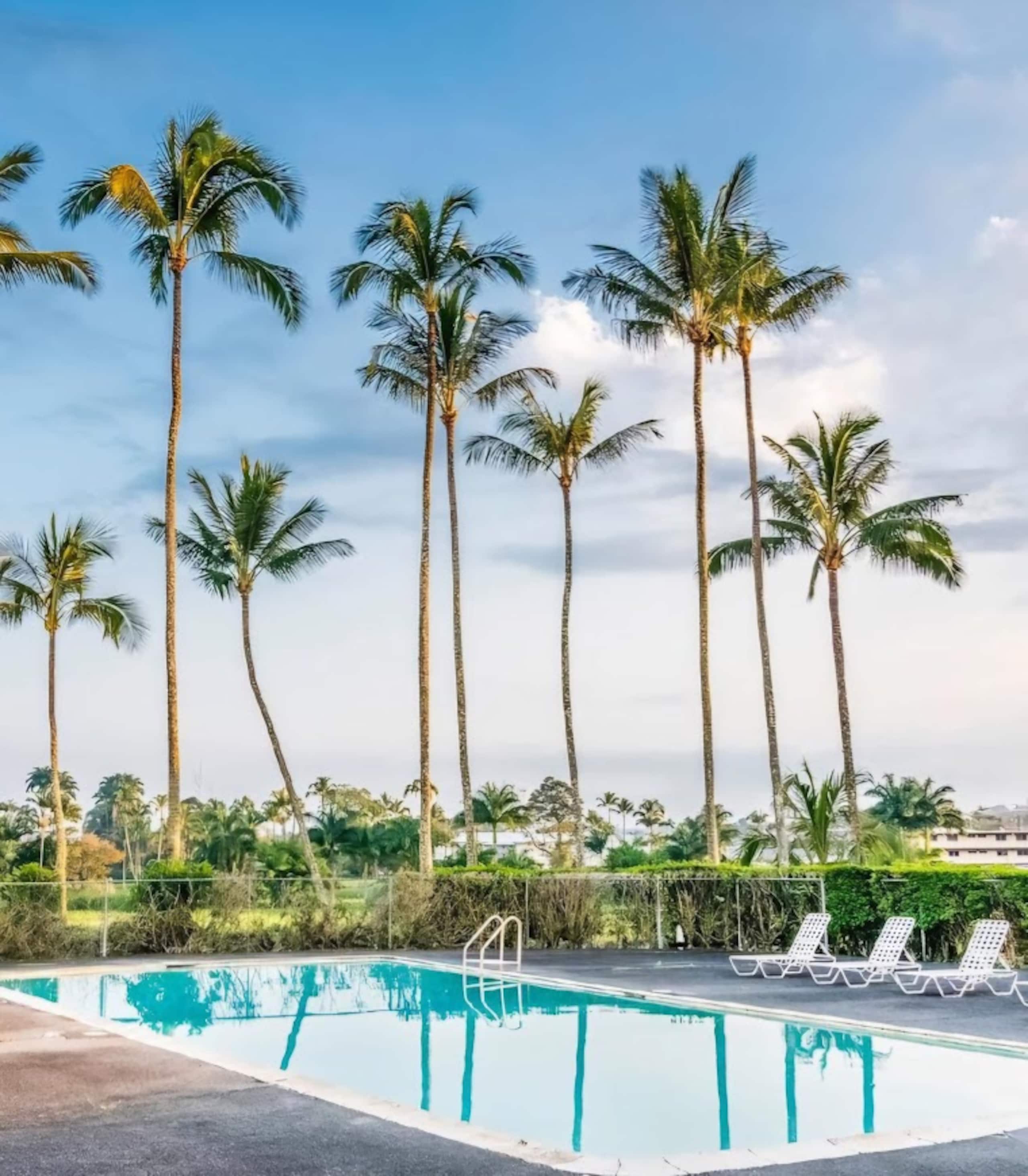 Newly Renovated Hilo Lagoon 2 BD Condo-A/C, Pool - Photo 41