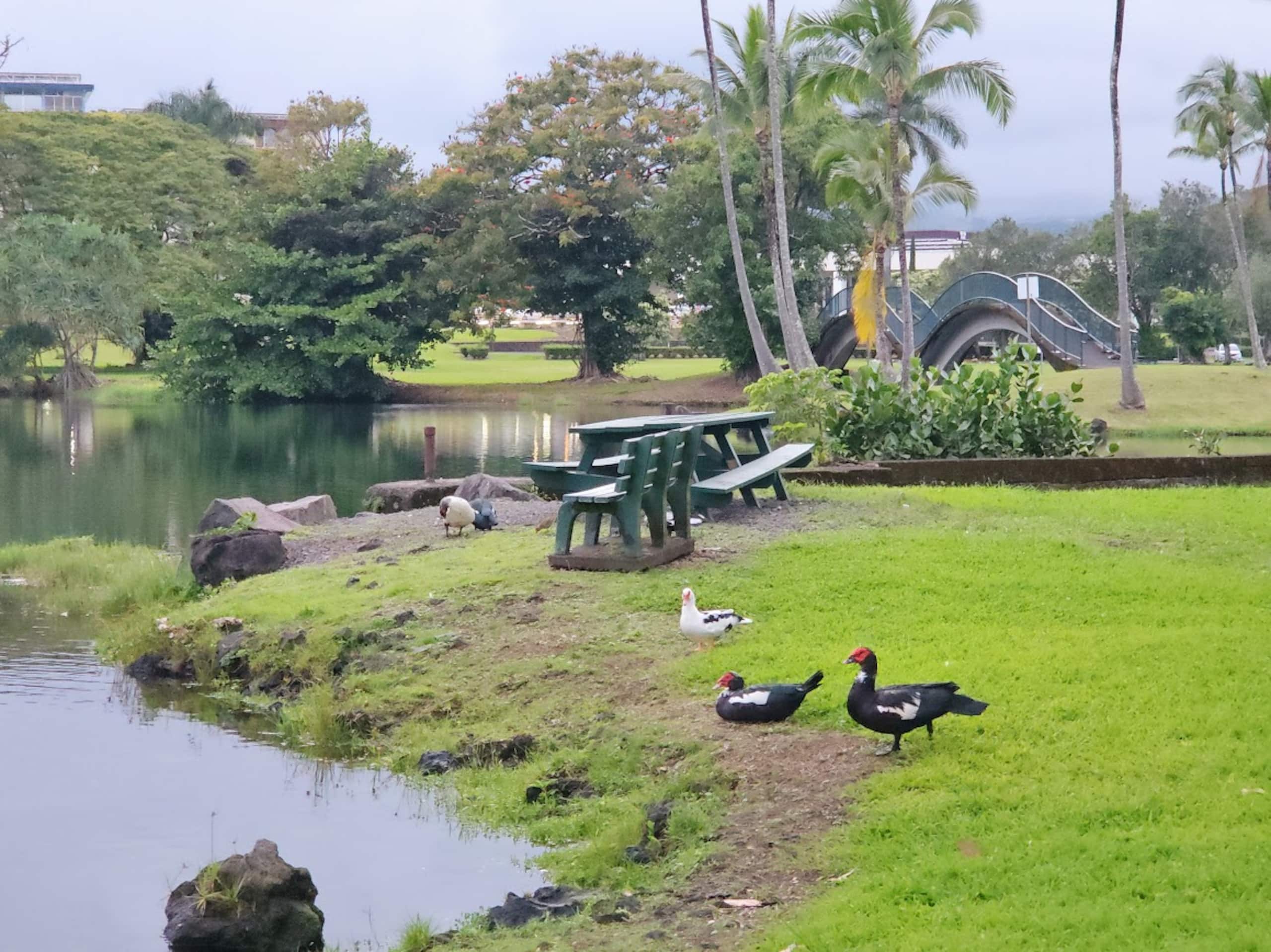 Newly Renovated Hilo Lagoon 2 BD Condo-A/C, Pool - Photo 34