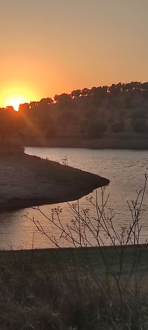 New Modern Farmhouse Torramo.N2 Alentejo.13750 sqm