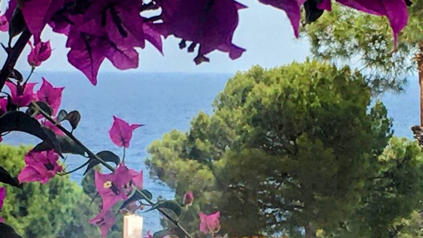 House beach in Cala Salions