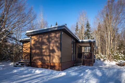 Winter chalet in Portneuf