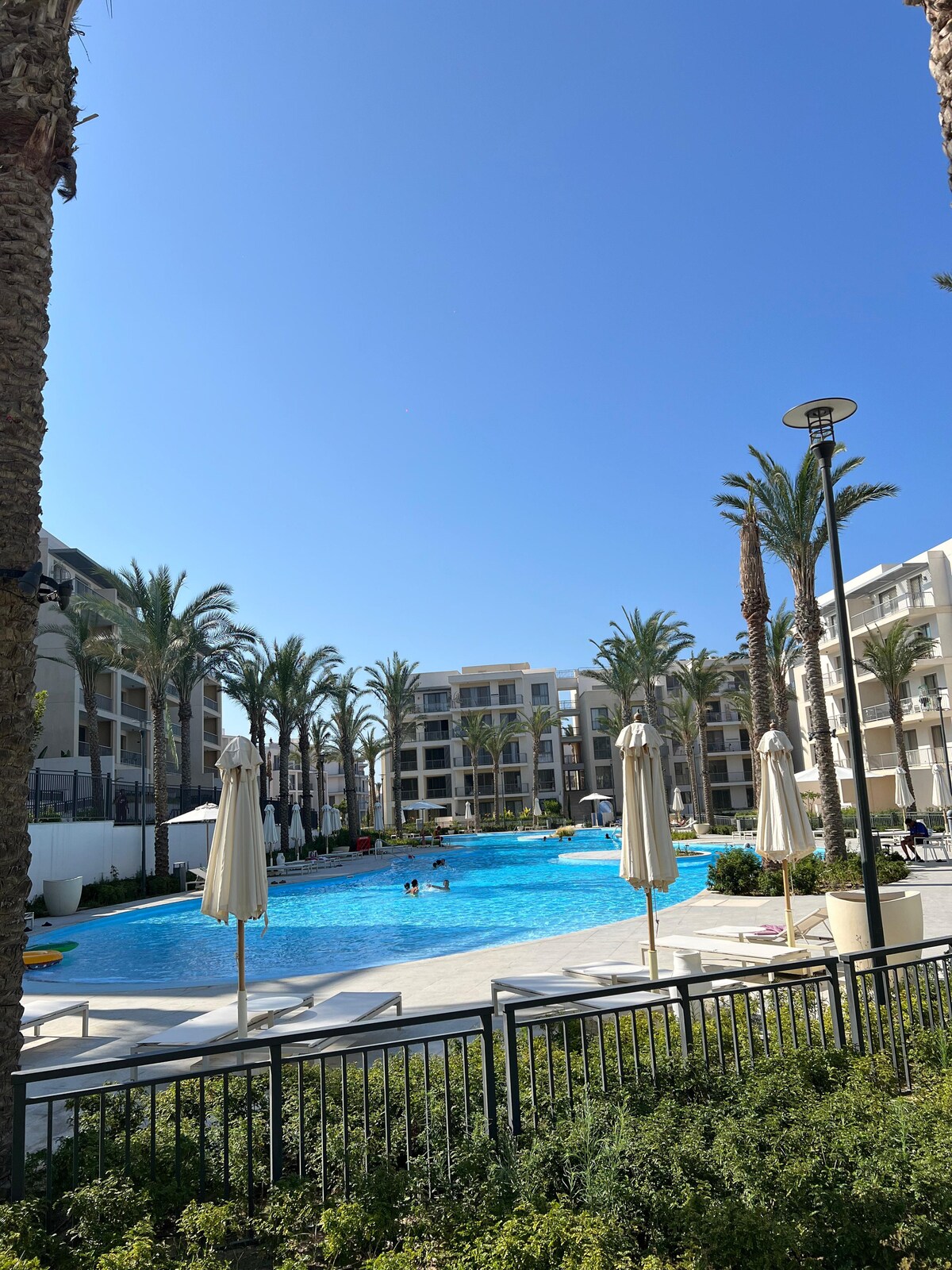 A large outdoor pool is surrounded by palm trees, providing a relaxing atmosphere. Sun loungers are arranged along the poolside, with several umbrellas offering shade. A clear blue sky can be seen above, enhancing the tranquil setting.