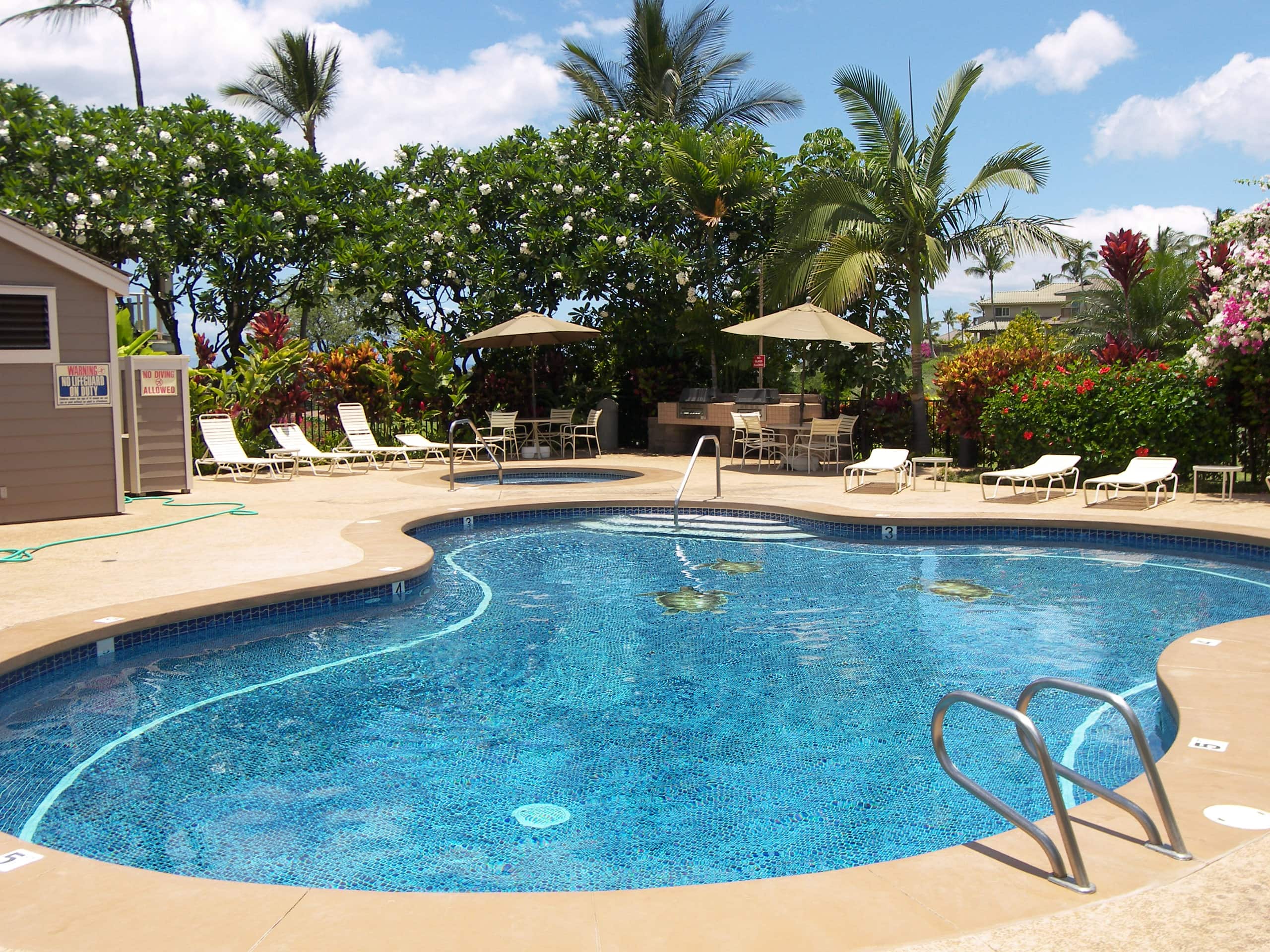 Condo in Wailea · ★4.71 · 1 bedroom · 2 beds · 1 shared bath - Image 19