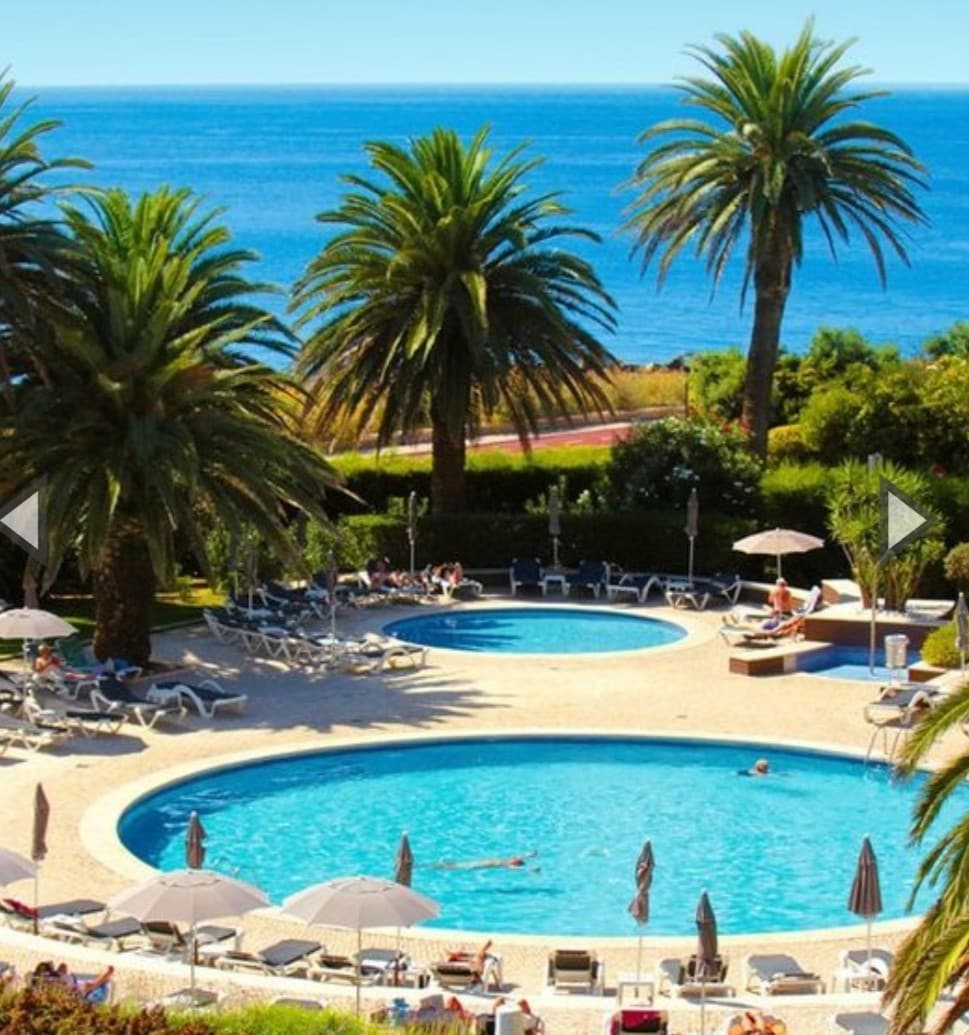 An outdoor swimming pool area is surrounded by palm trees and well-maintained gardens. Two circular pools are present, with sun loungers and umbrellas arranged around the edges. The ocean can be seen in the background, providing a scenic view.
