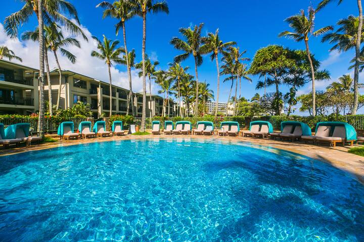 Beachfront Paradise~ Ocean Views & 5 Star Reviews!