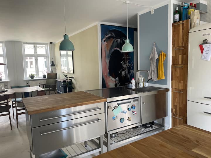 Hyggelig Lejlighed På Elmegade - Copenhaga