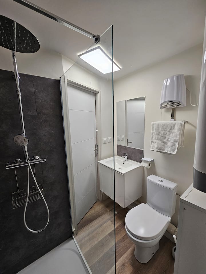 Au 3 Rue Manhès - Studio 4 - Albi