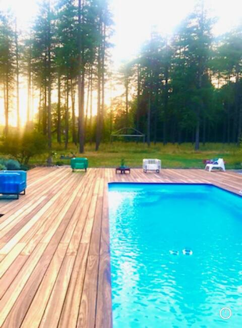 Gîte in the heart of a pine forest - Vouzon