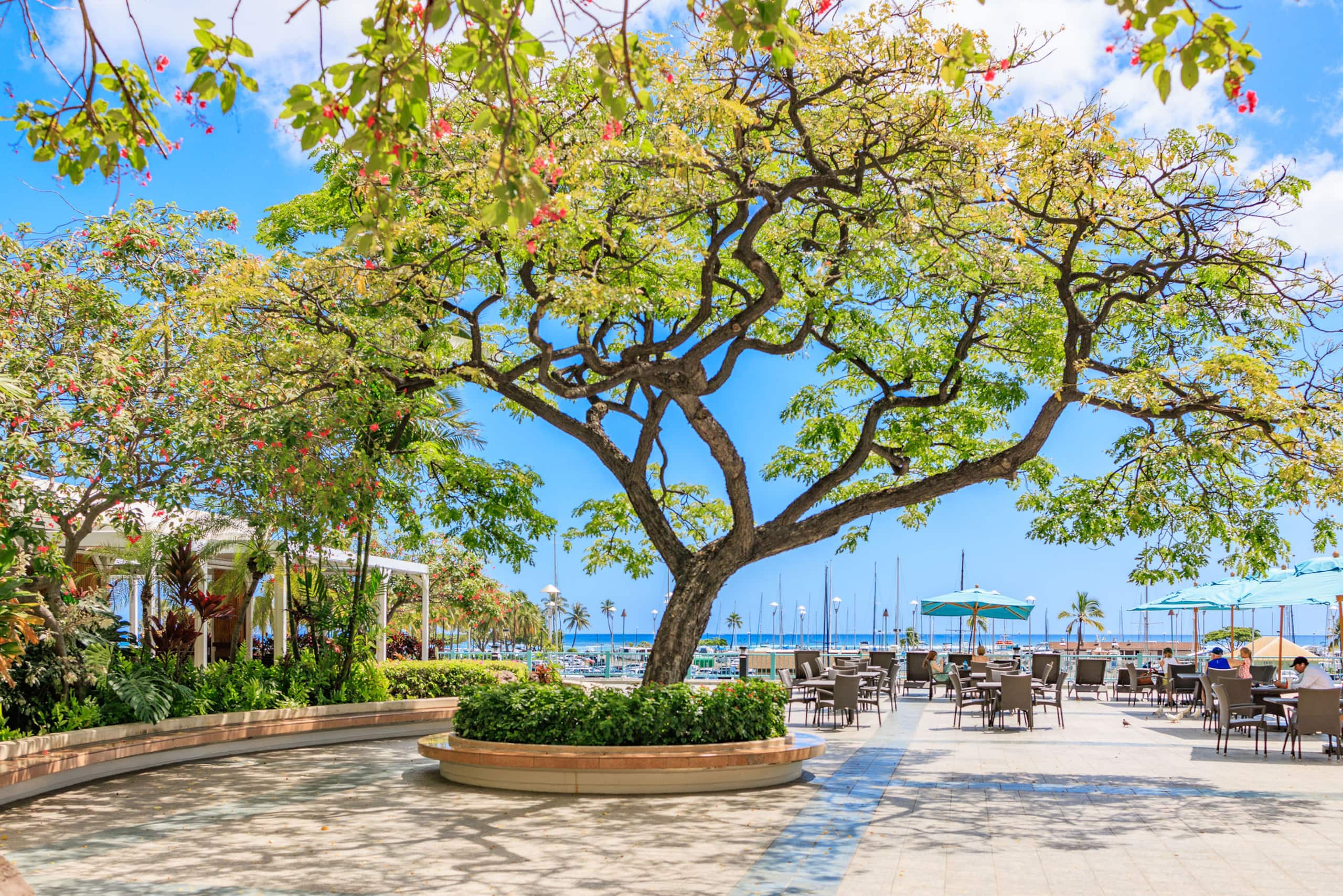 Waikiki Ocean View - Ilikai 808 + Free Parking - Image 38