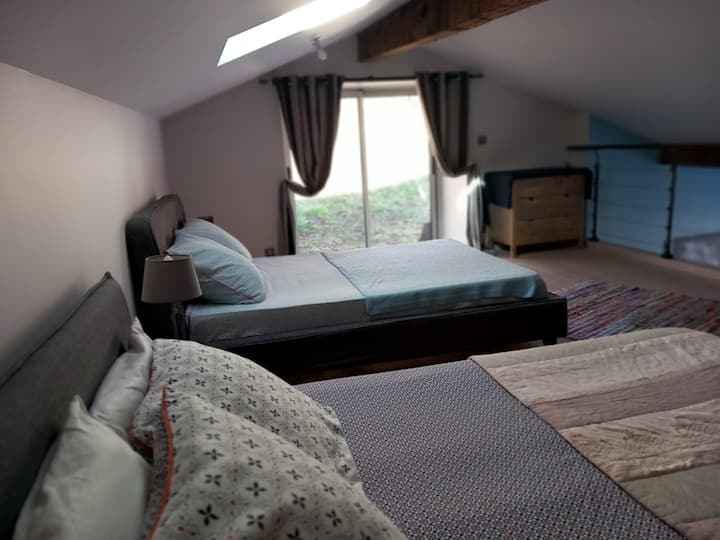 Habitación 1