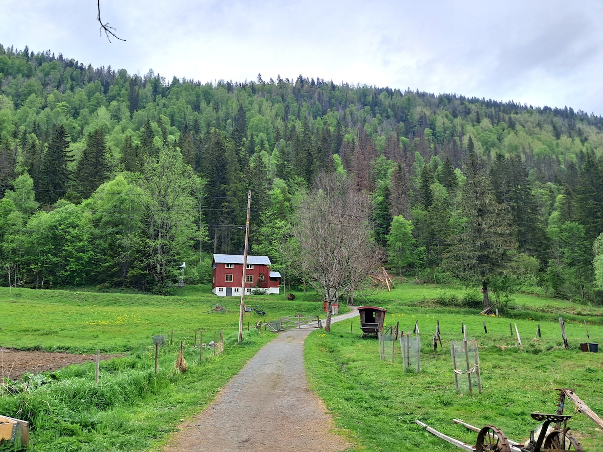 A gravel pathway leads through a green landscape toward a red house surrounded by lush trees and a hillside. Visible to the side, simple fencing outlines a pasture area, while the distant mountain greenery creates a serene backdrop.