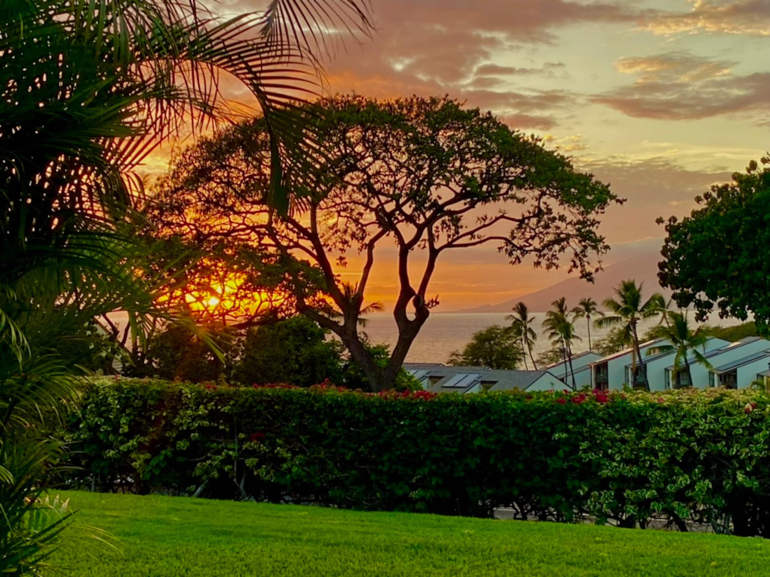 Condo in Kihei · ★4.83 · 1 bedroom · 1 bed · 2 private baths - Image 8