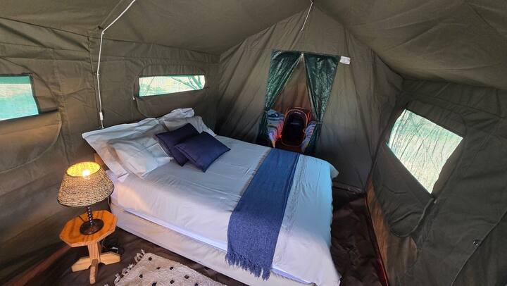 Habitación 1