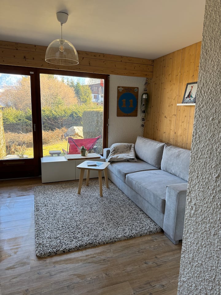 Studio Mont-blanc à Combloux - Combloux