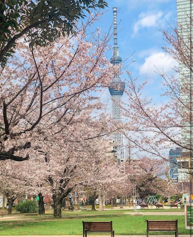Elegant Tokyo Retreat: Jacuzzi, Cinema & Skytree gallery image 4