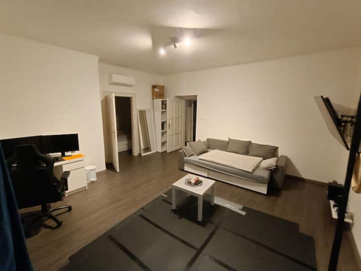 Spacious Apartment In The Center - Pilsen