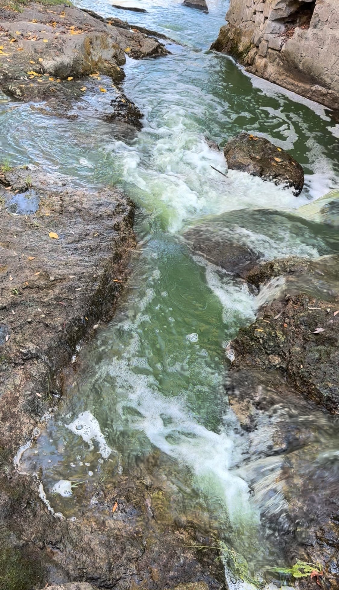 A flowing stream of water winds through a rocky area, with greenish hues reflecting from the gentle movement of the water. Sunlight highlights the texture of the stones along the banks, while fallen leaves can be seen resting on the surface.