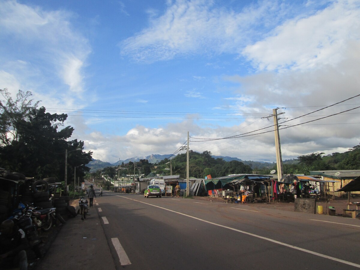 A view of a wide road is presented, lined by stalls and small shops. The backdrop of distant mountains is visible under a partly cloudy sky. Vegetation can be seen along the sides, enhancing the rural landscape.